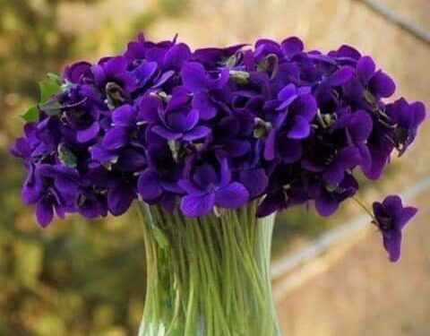 لا تتركيْنِي وحيدَاً